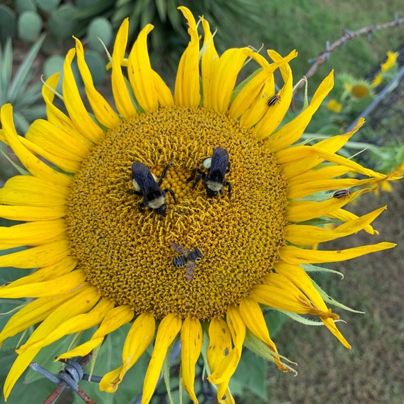 Meet your Posher, Sandi - Picture 2 of 16